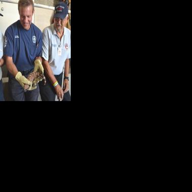 Best in the world: GVFD Fire Corps wins top honor | Local News | gvnews.com