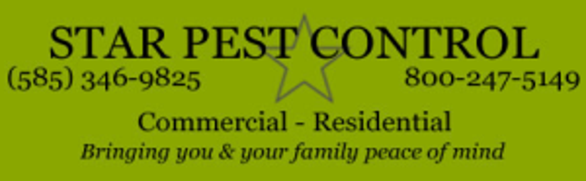 Star Pest Control Pest Control Services Livonia Ny Gvpennysaver Com