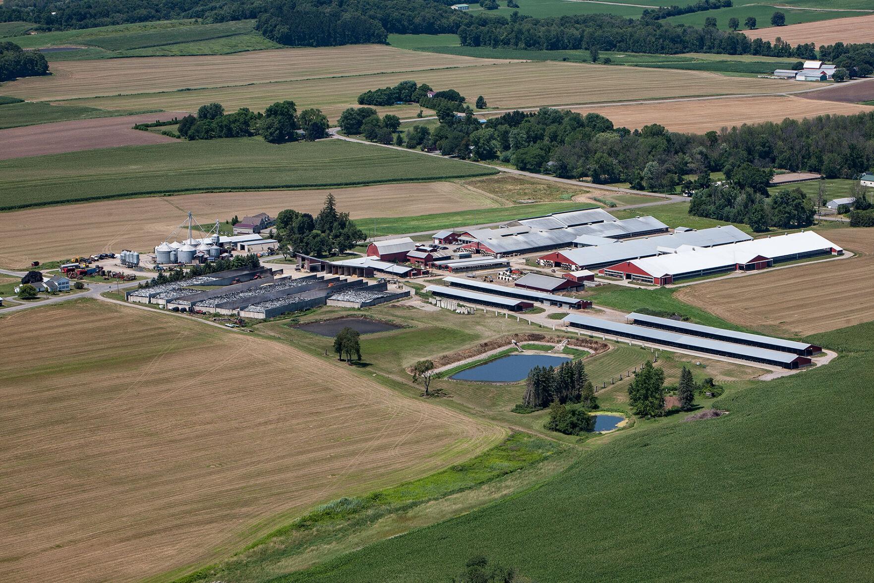 Inside Look at Dairy Farming with ElVi Farms of Newark Informational