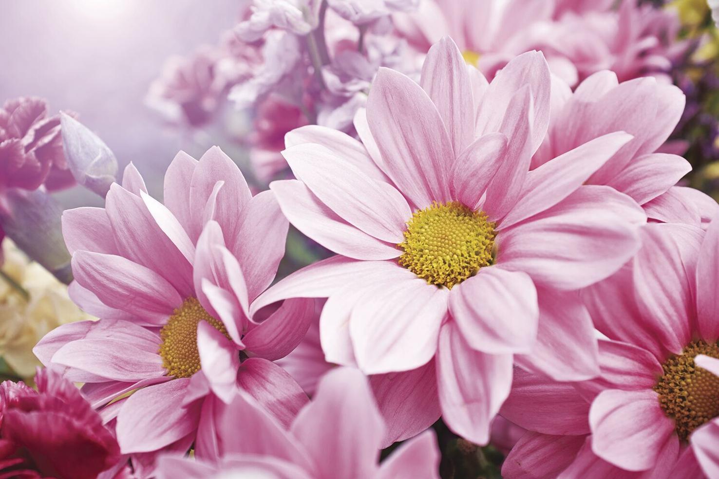 Eugene J. “Yank” Recktenwald March 30, 2024 Obituaries