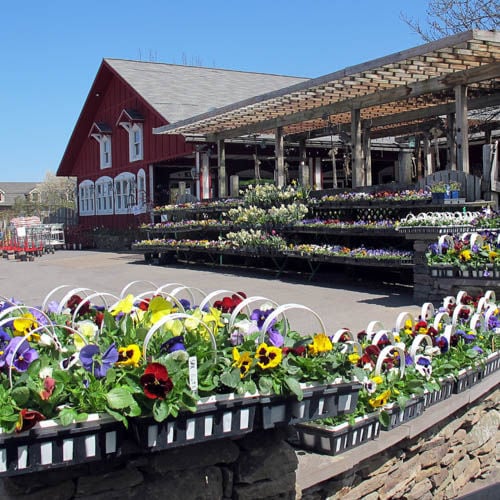 Wayside Garden Center Inc Ornamental Greenhouses Macedon Ny