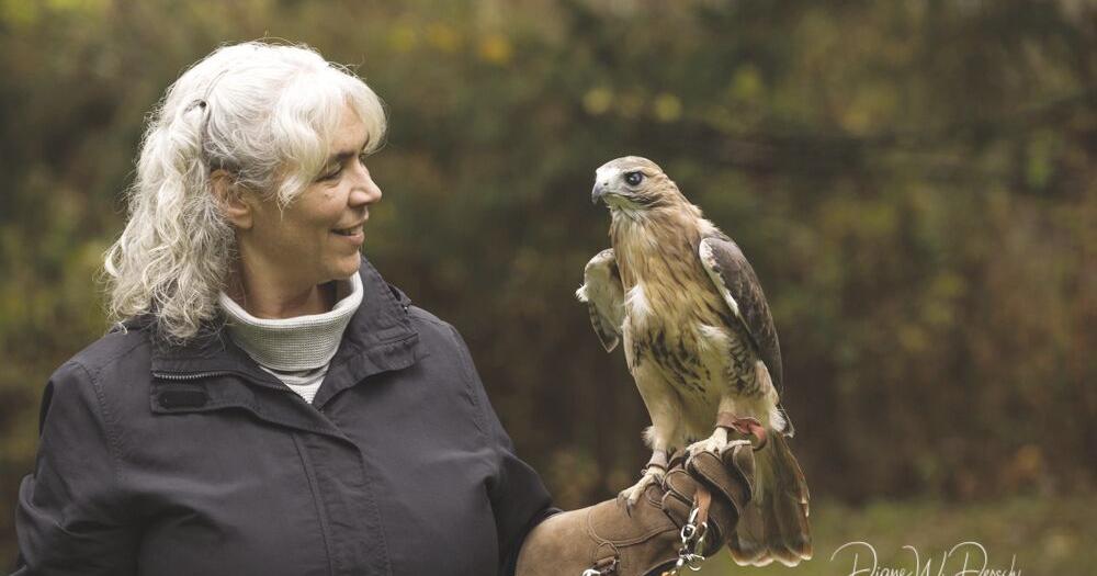 Daena Ford: A 31-Year Journey with Braddock Bay Raptor Research ...