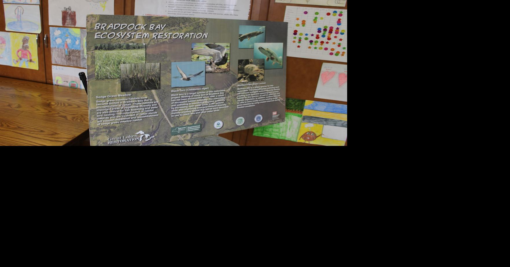 Braddock Bay Restoration Project Provides Valuable Science Lesson for ...