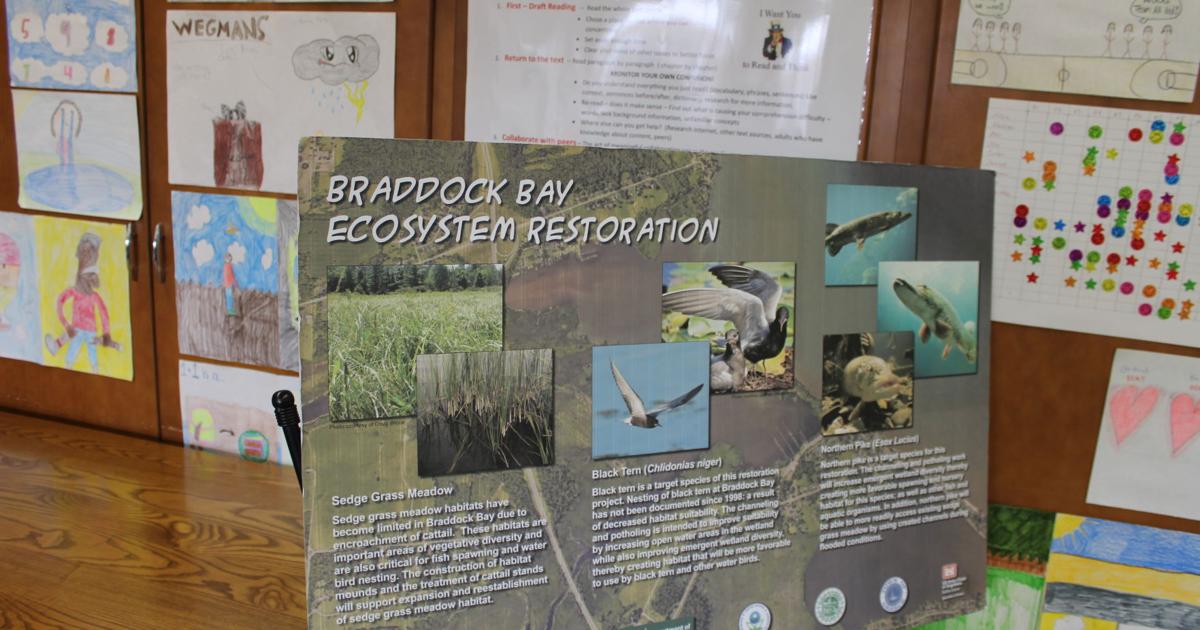 Braddock Inclusion Project Braddock Bay Restoration Project Provides Valuable Science Lesson for ...