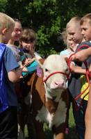 Byron-Bergen Elementary School Hosts Annual Farm Day