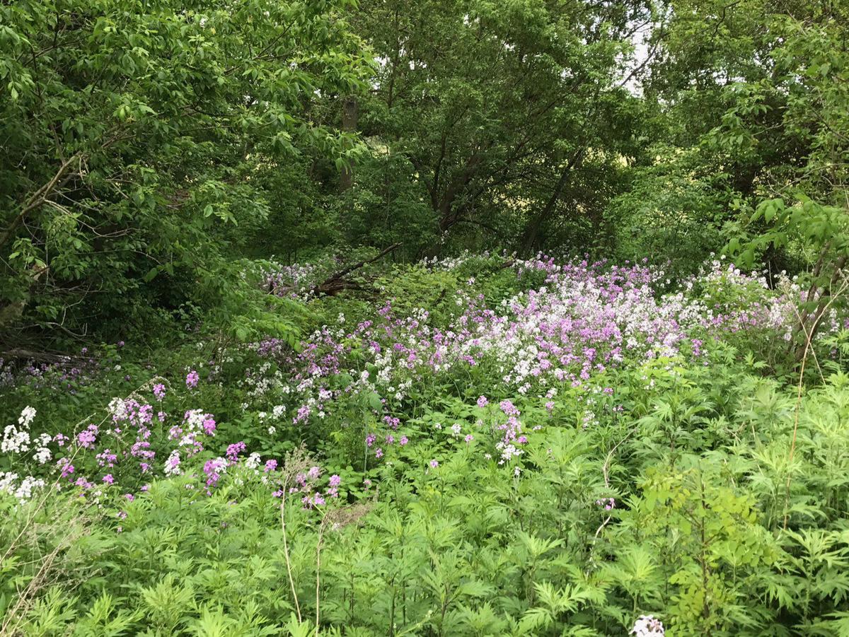 Reach, Readership, Response