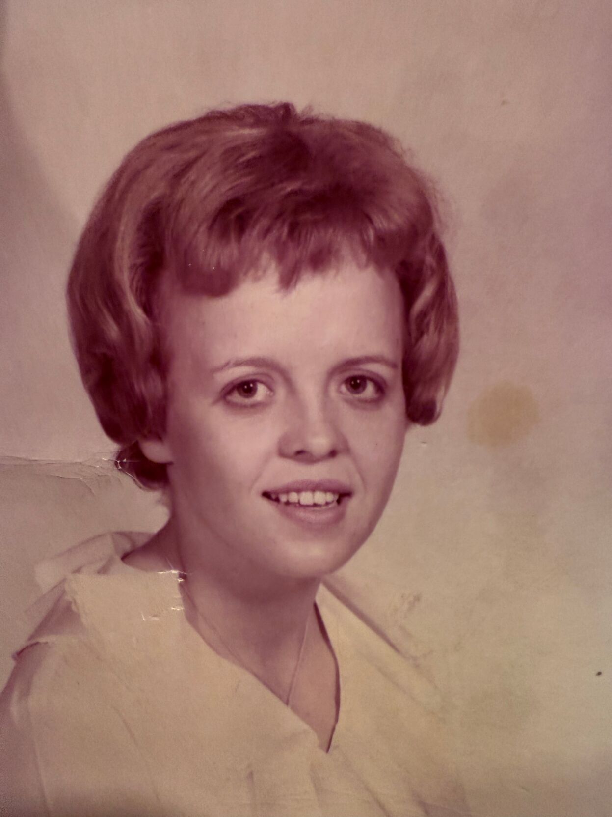 Mary Ann Wilcox - November 4, 2025 | Passages | Obituaries ...