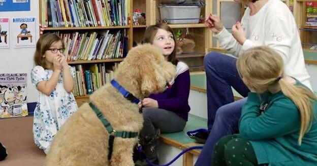 Therapy Dogs Bring Smiles to Midlakes | Current Events | gvpennysaver.com