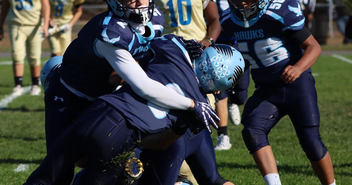 Davis Ruhf Ruhf sparks Hammonton in season finale loss to Lacey | Athlete ...