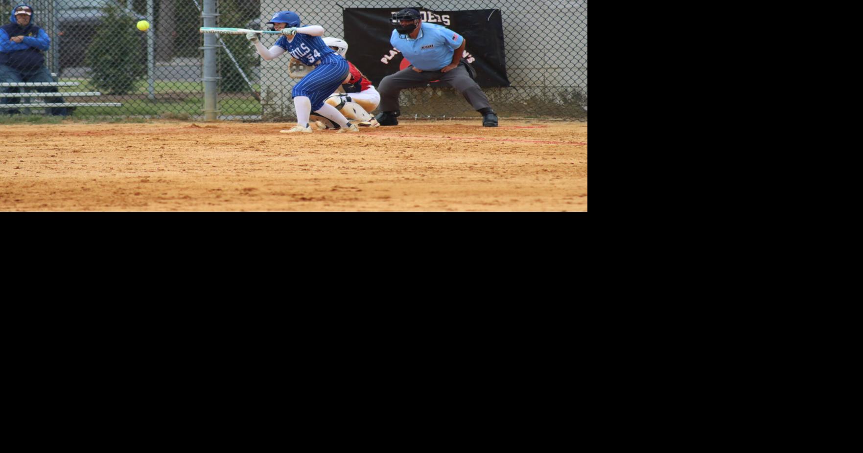 Hammonton softball named national division champs