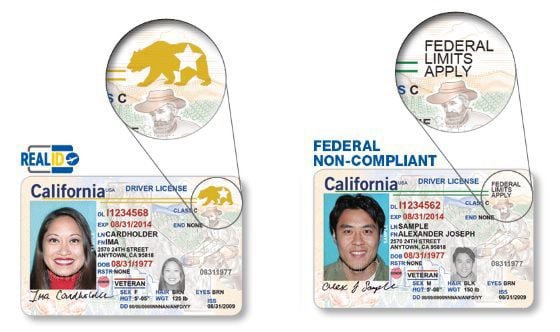 renew id card online california