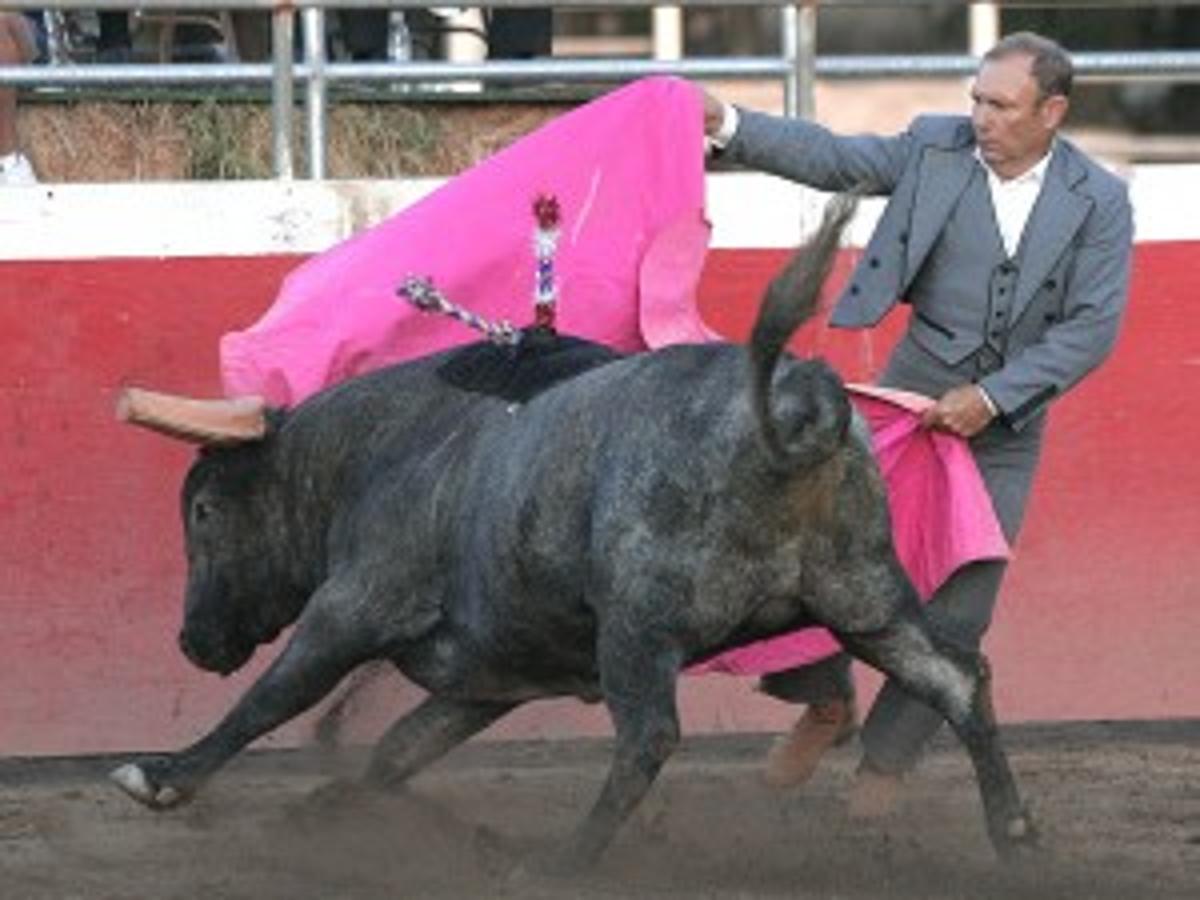 Cultural Spectacle Local Hanfordsentinel Com
