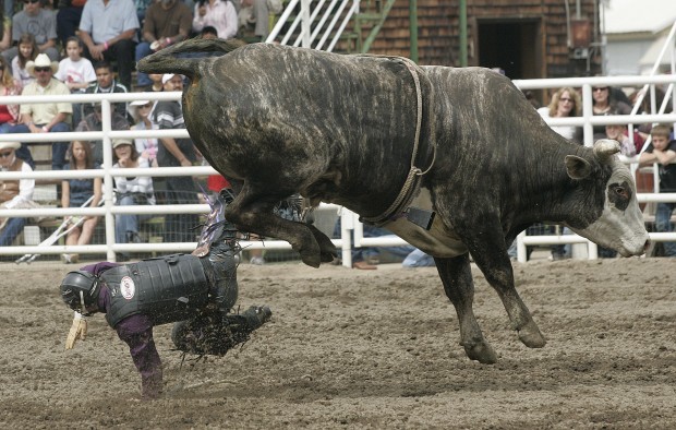 Laton Rodeo 2010 | Gallery | hanfordsentinel.com