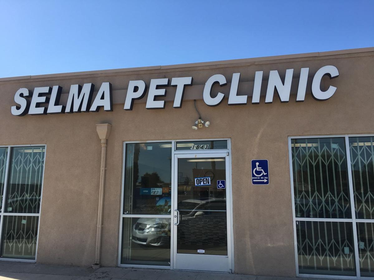 Animal clinic opens in Selma News