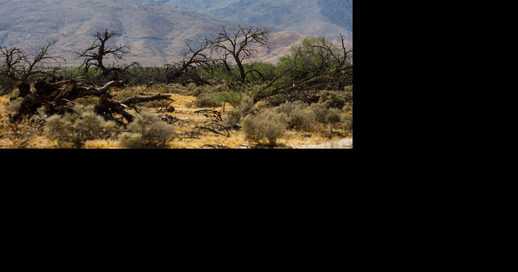 New research has this San Diego County desert town at loggerheads on what to do about water