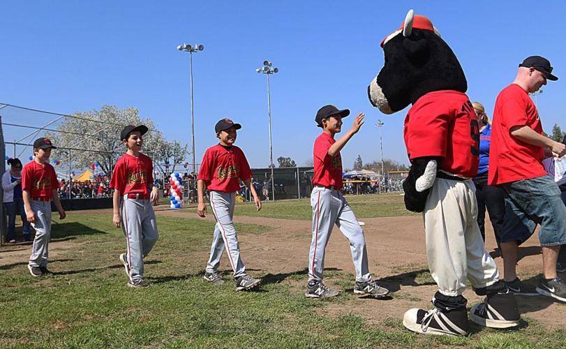 Hanford Youth Baseball opening day Local Sports