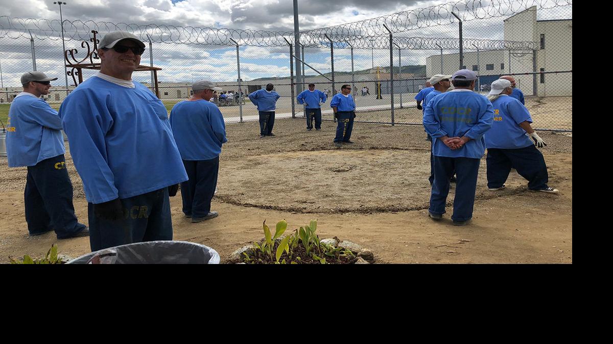 115 inmates test positive for COVID19 at Avenal State Prison News