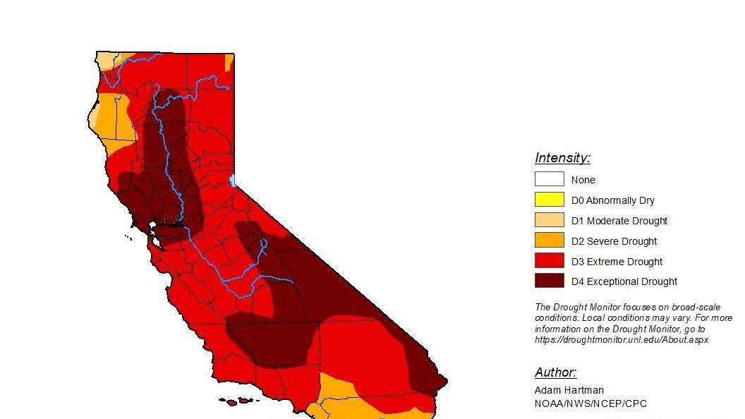 Around Kings County: Extreme hot weather blankets area - Vimarsana News