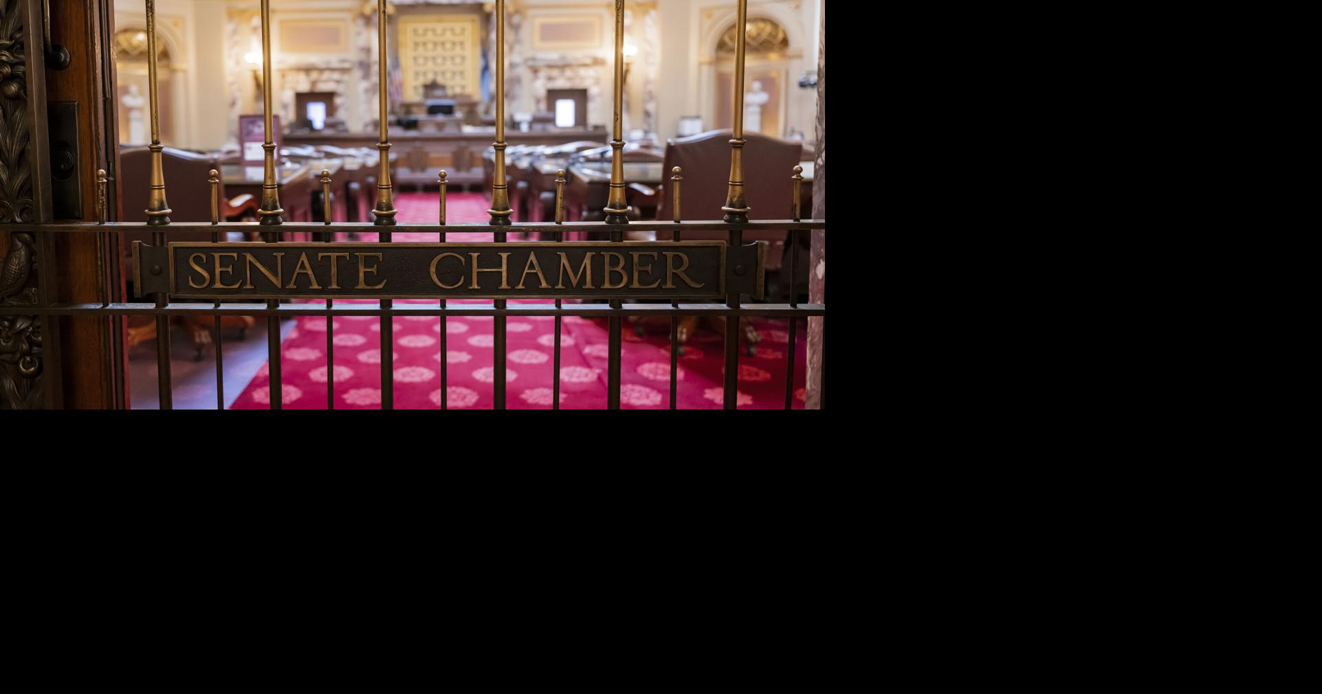 Minnesota Senate clears sweeping assault weapons bill in wake of Annunciation shooting
