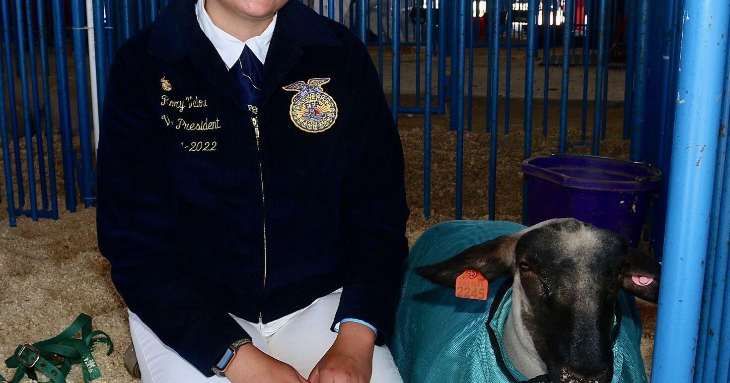 Kings Fair culminates a year of hard work for ag students - Vimarsana News