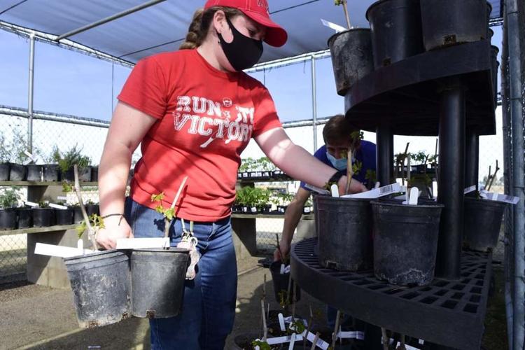 Spring Vegetable and Plant Sale a 'successful' event