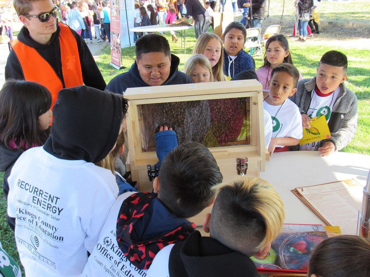 Photos: Farm Day 2019