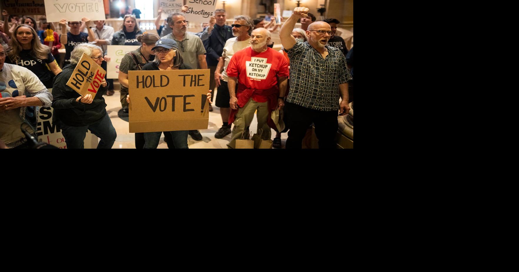After session stalemate, Minnesota’s debate over gun control moves into election season