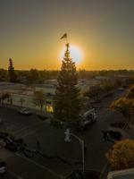 Corcoran ready for historic 100th Christmas Tree Celebration