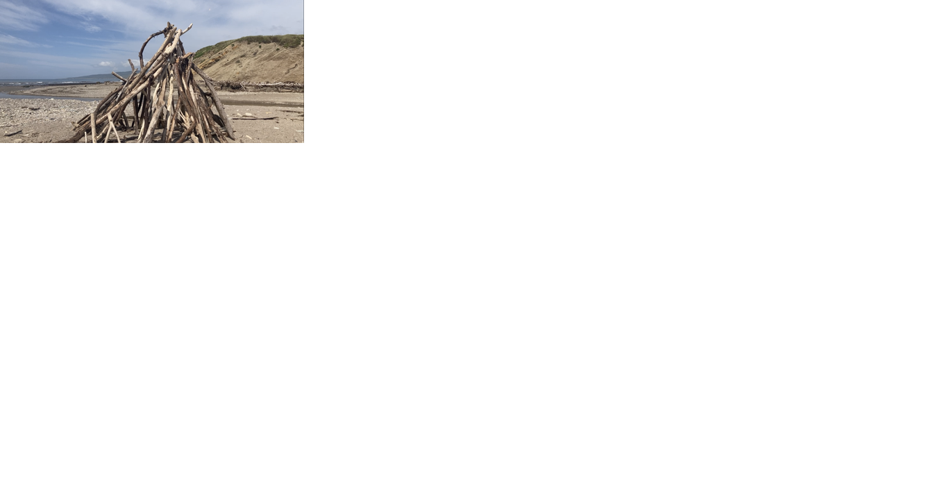 Growing frequency of commercial launches prompts change in Jalama Beach park evacuations - Vimarsana News
