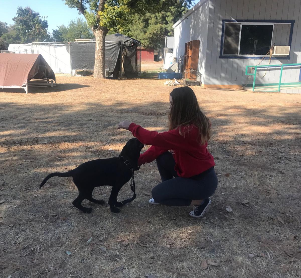 Valley Animal Haven making a PAWsitive change Local