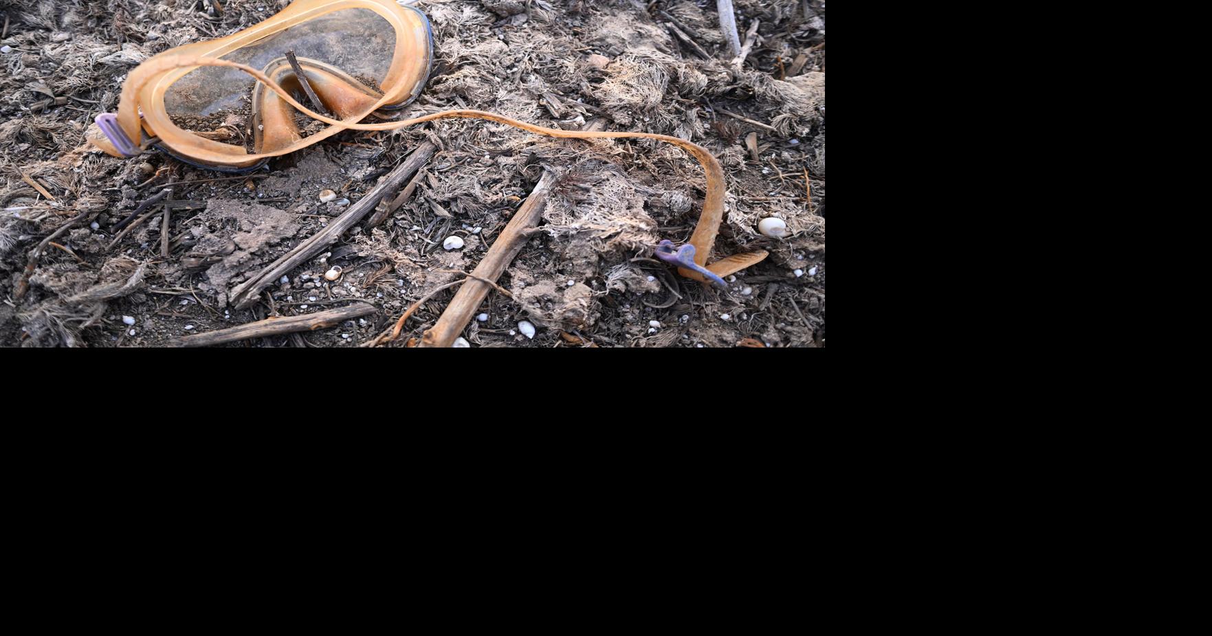 As drought worsens, Western states brace for wildfires, water shortages ...