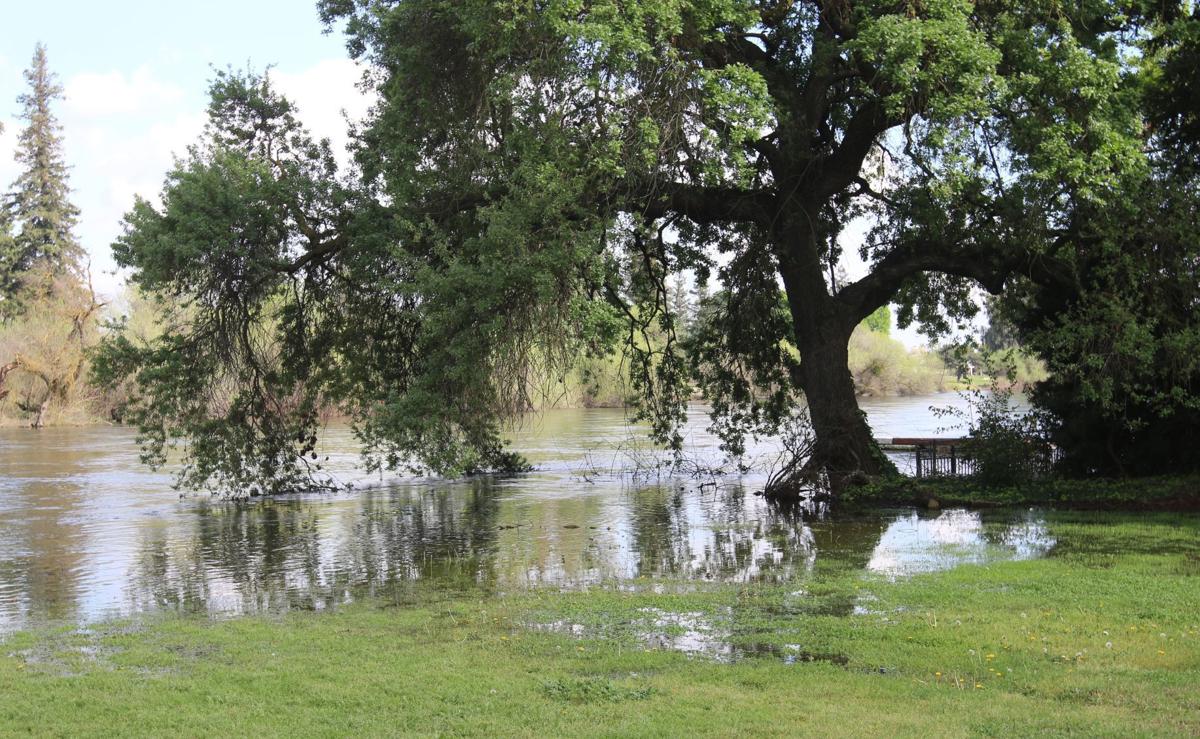Kings River overflow Galleries