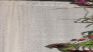 Ramblin Rose Owner Wins Floral Art Design Competition Again Lemoore Hanfordsentinel Com