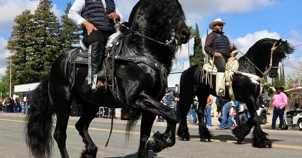 Rodeo rides into Laton | Sports | Selma / Kingsburg | hanfordsentinel.com