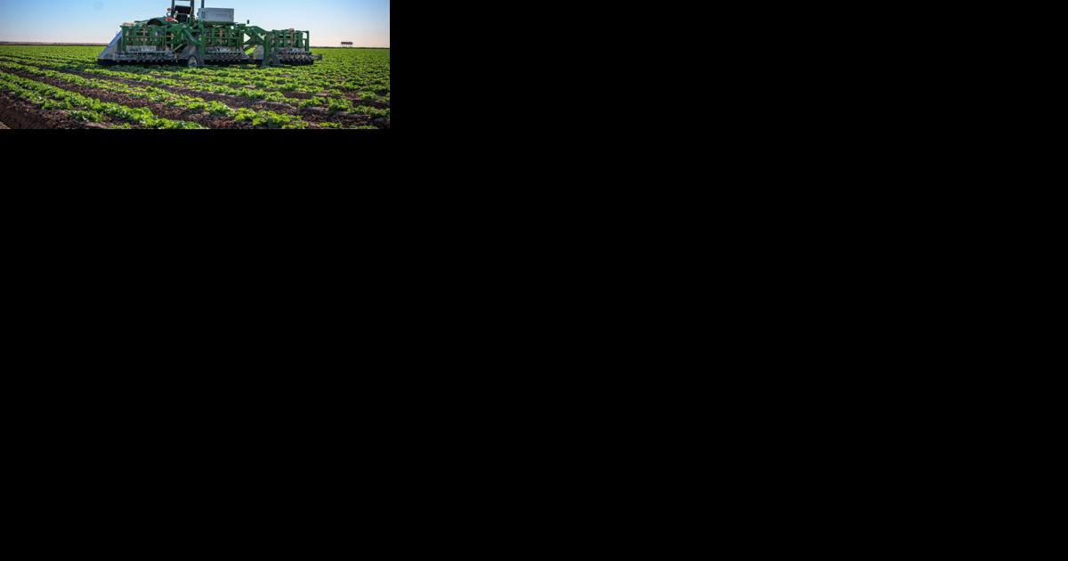 2023 World Ag Expo Top-10 New Product winners announced - Vimarsana News