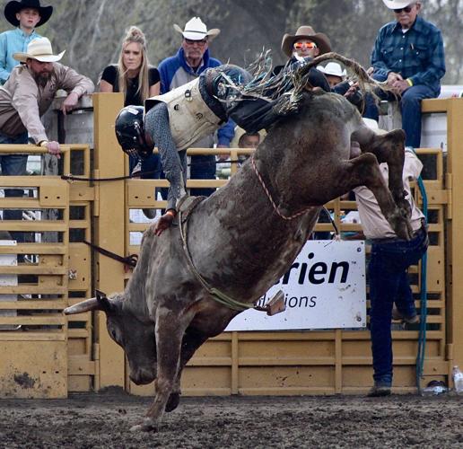 Crowds turn out for Laton Lions Club Rodeo, parade Local News