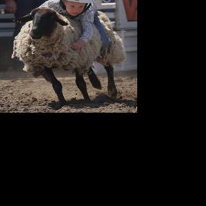Attendance up at annual Laton Rodeo | News | hanfordsentinel.com