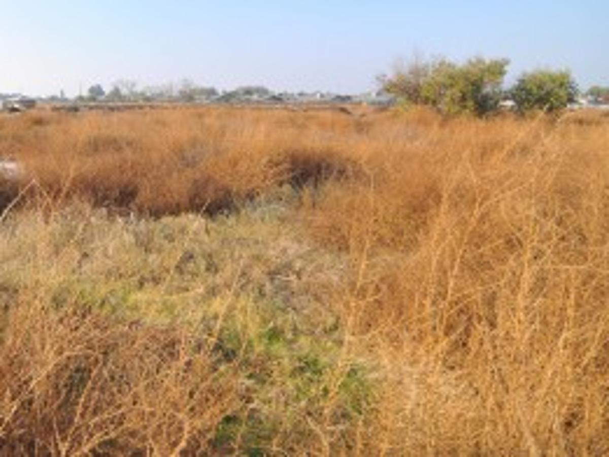 Lemoore Targeted For Solar Projects Local Hanfordsentinel Com