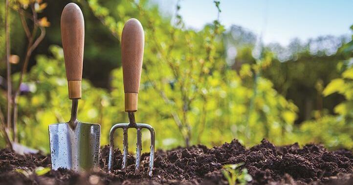 Native plants can survive the worst of times | Garden Checklist