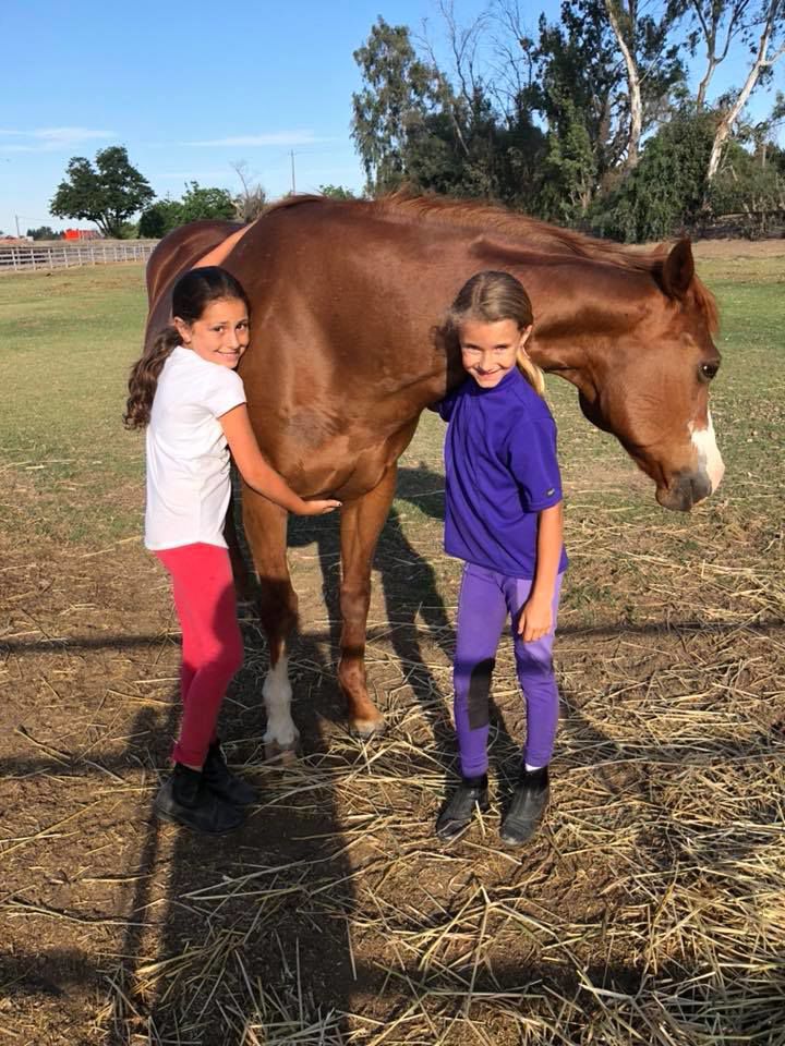Lemoore horse ranch offers summer camps, equine therapy for veterans