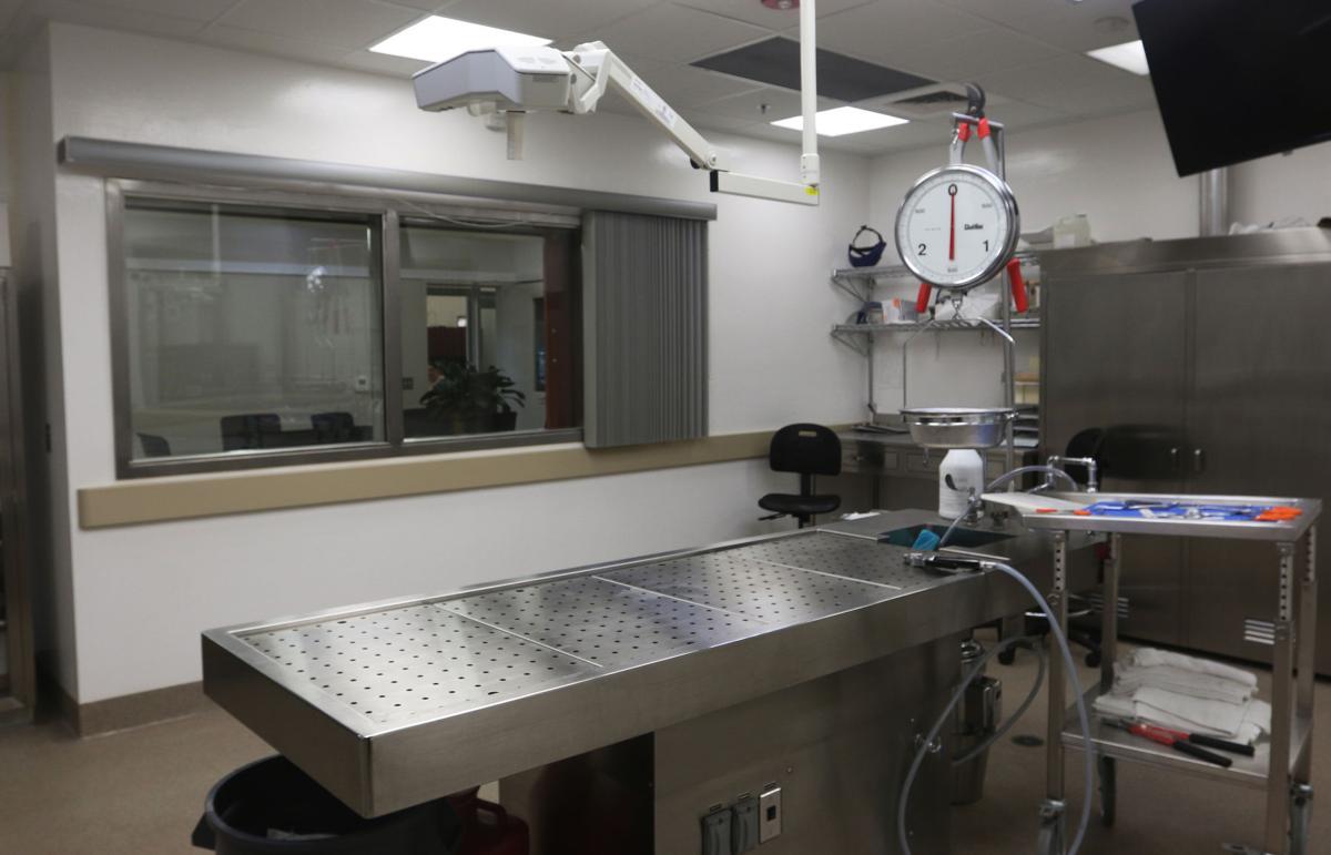 Opiate deaths rising in Kings County Crime