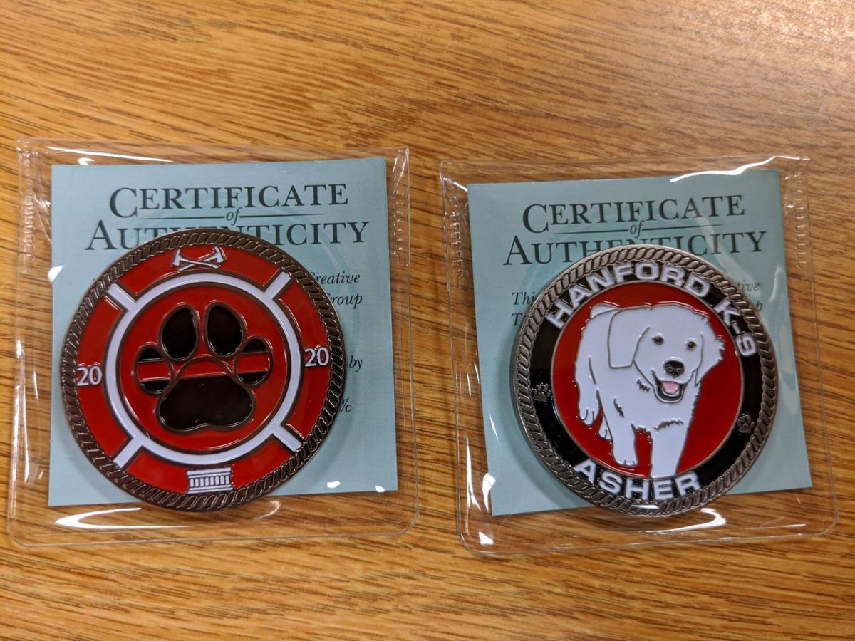 HFD puppy coin