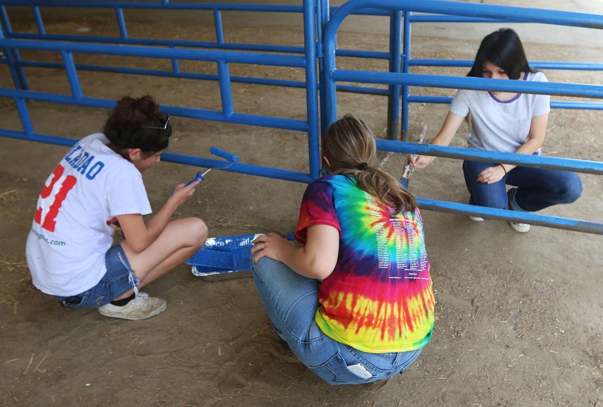 Kings Fair cleanup by volunteers