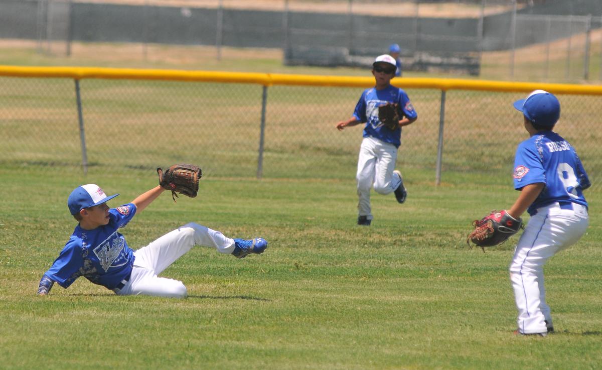 Cal Ripken baseball Gallery