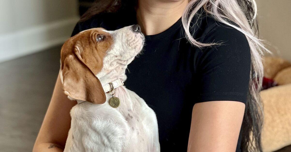A woman took her dog to a shelter to be euthanized. A year later, the dog is up for adoption again. - Vimarsana News