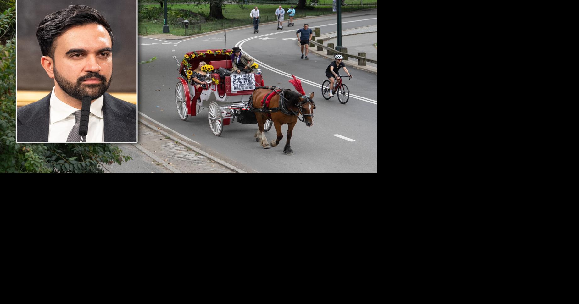 NYC Mayor Zohran Mamdani renews call for banning Central Park carriage horses after horse dies in park