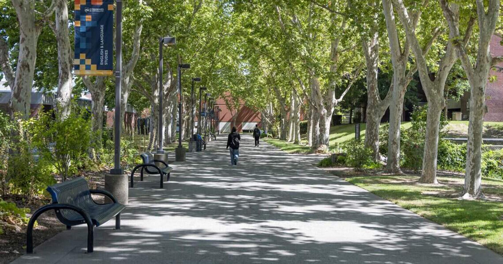 加州破壁！社區大學開辦學士學位：高等教育版圖的典範轉移