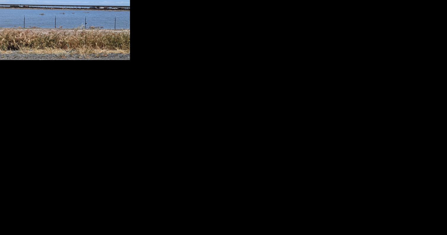 600,000 years of history, and Tulare Lake isn't done yet - Vimarsana News