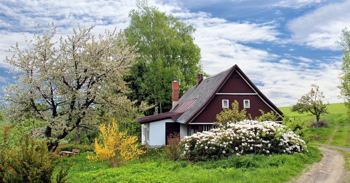 What grows in Grandma’s (or Grandpa’s) garden? | Master Gardener | Home and Garden What grows in Grandma’s (or Grandpa’s) garden? | Master Gardener | Home and Garden