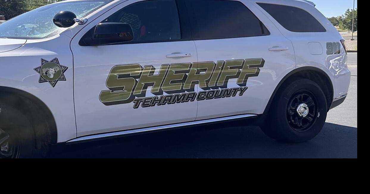 ‘Heroic Gamer Prevents Planned Mass School Shooting in California, According to Sheriff